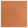 NPTM03