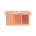 پالت رژگونه سه عددی شیگلم مدل Sweet Cheeks